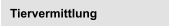 Tiervermittlung